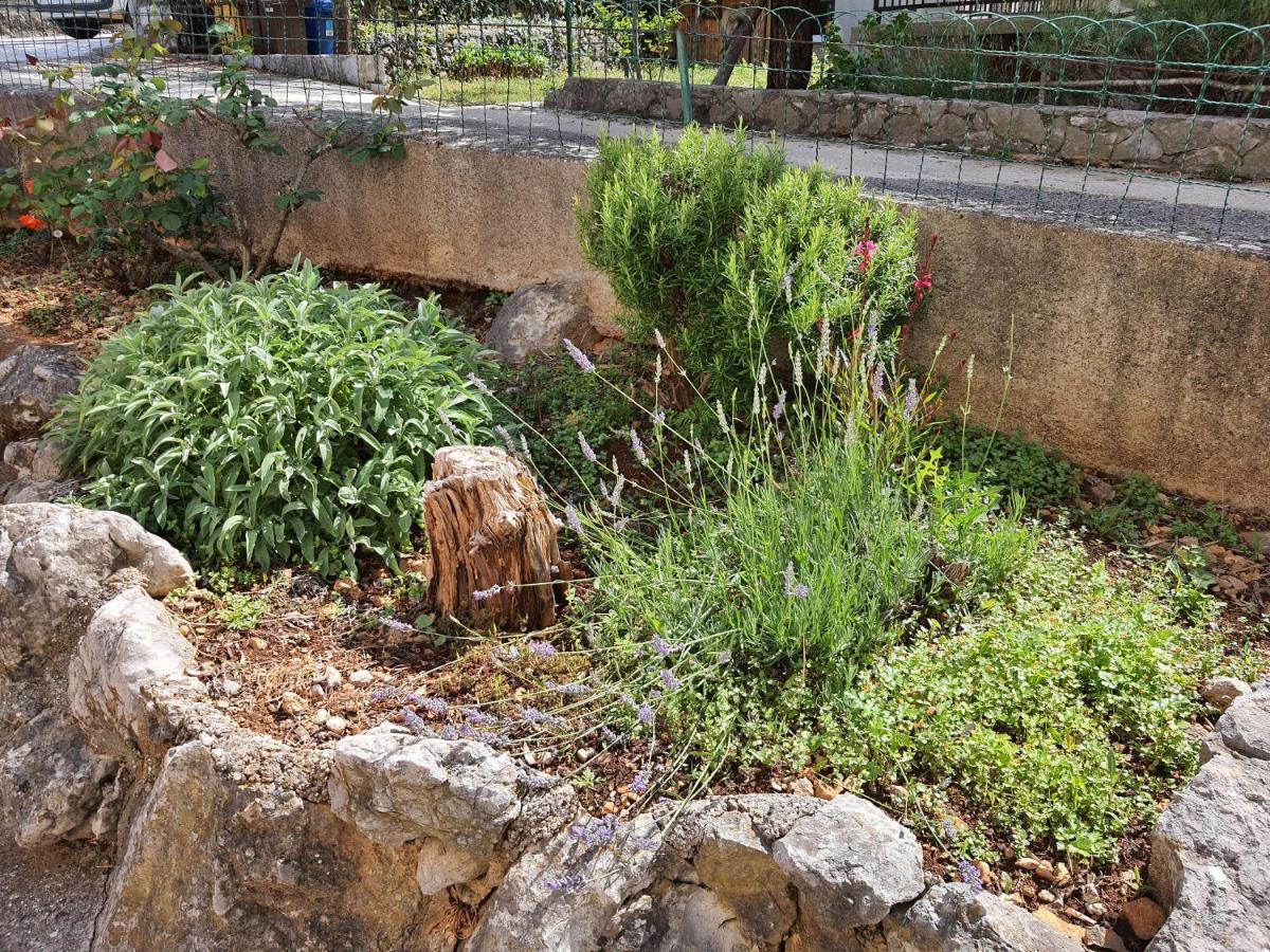 Apartments Vesna Avsec - Krk Town Εξωτερικό φωτογραφία