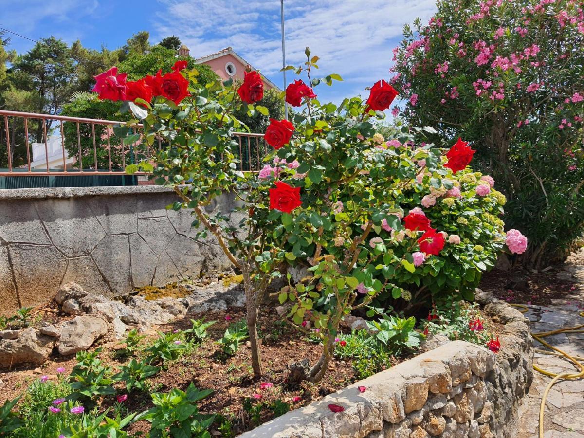 Apartments Vesna Avsec - Krk Town Εξωτερικό φωτογραφία