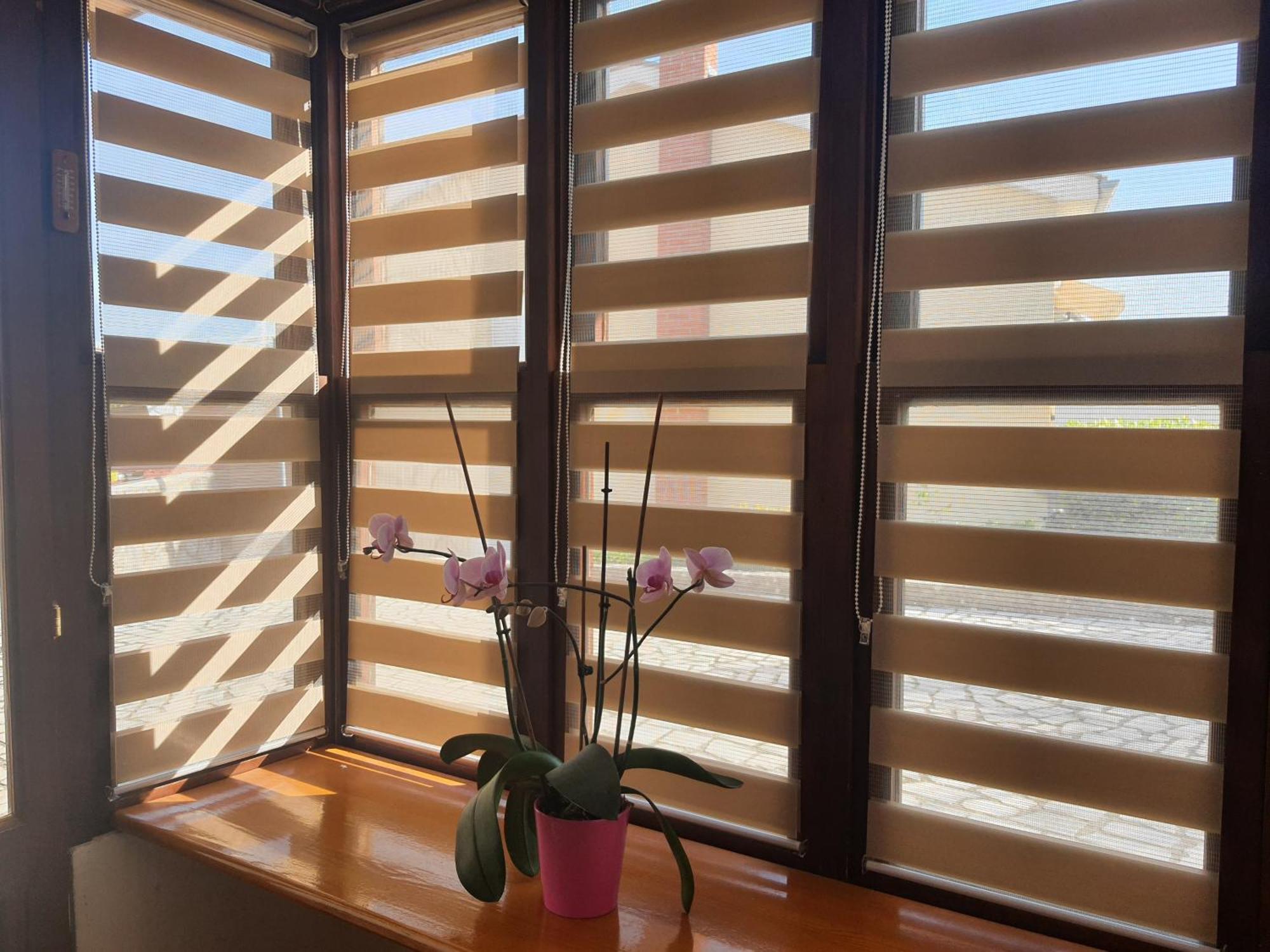 Apartments Vesna Avsec - Krk Town Δωμάτιο φωτογραφία